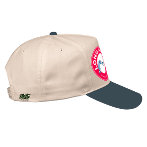 Long Armin' LoGo Dad Caps