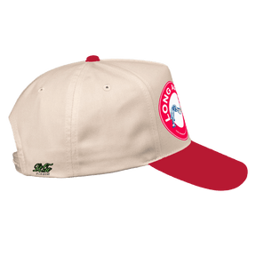 Long Armin' LoGo Dad Caps