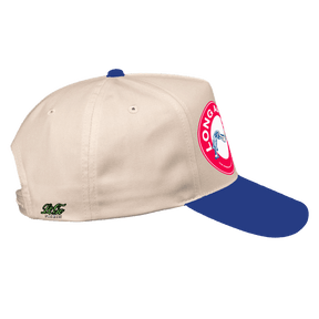 Long Armin' LoGo Dad Caps