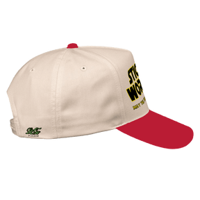 Stick Worms LoGo Dad Caps
