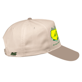 The BassMaster LoGo Dad Caps